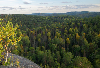 Obraz premium Remarkable autumn red-yellow colours in the forest