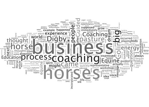 Business Strategies Straight from the Horse s Mouth