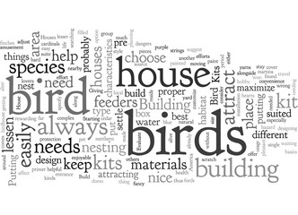 Build Your Own Bird House with Kits