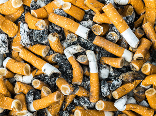 Closeup of many dirty used cigarettes butts abstract background