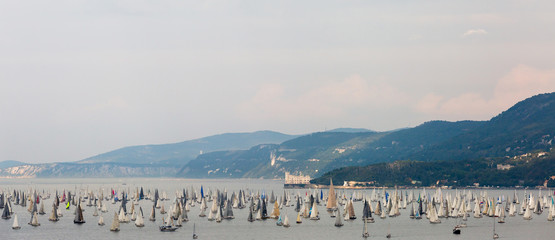 Trieste,Italy October 12,2014:Start of Barcolana 2014. Thousands of sails racing in the Adriatic sea during the Barcolana regatta. In background Miramar Castle.