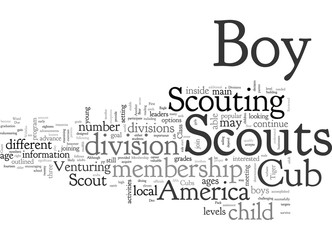 Boy Scout Membership Divisions Reviewed
