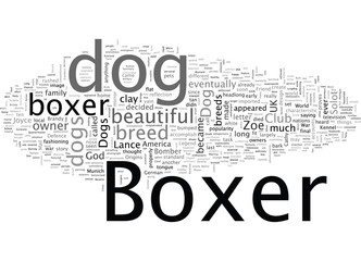 Boxer Dogs Ten Things You May Not Know About Them
