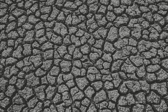 texture of ground © Zoran Jesic