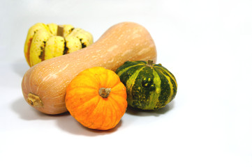 Still life of various types of pumpkins over white
