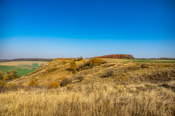 Green fields in autumn in Ukraine