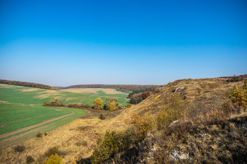 Fototapeta na wymiar Green fields in autumn in Ukraine