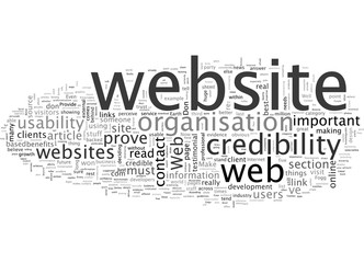 Beyond Web usability Web credibility