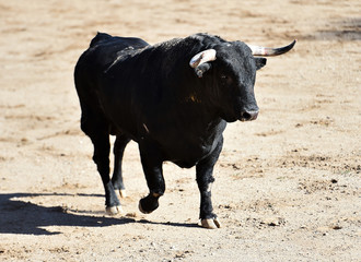 toro con grandes cuernos