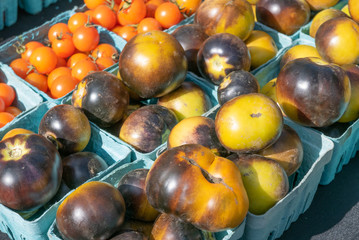 Multicolored fresh tomatoes in baskets