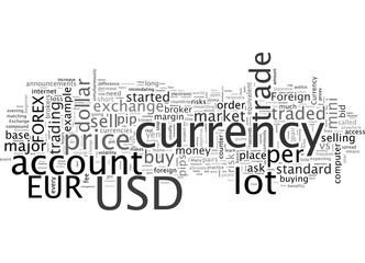 Beginner s Overview of Foreign Currency Exchange