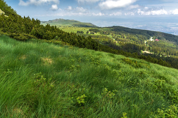 Fototapeta na wymiar Summer view of Vitosha Mountain, Bulgaria