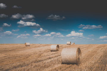 Plakat bales of hay