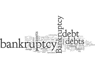 Bankruptcy Primer