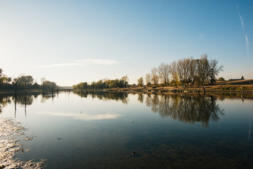 reflection of trees in water