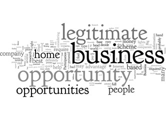 Are Those Biz Opportunities Legit