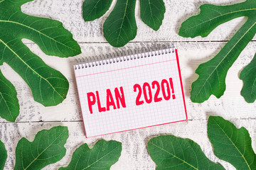 Conceptual hand writing showing Plan 2020. Concept meaning detailed proposal doing achieving...