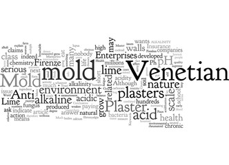 Anti Mold Venetian Plaster