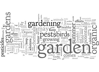 An Organic Summer Garden Experience