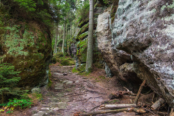 Footpath between rocks in forest - Adrspach-Teplice Rocks (nature reserve in Broumov Highlands region of Czech Republic)