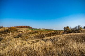 Panorama of an agricultural field