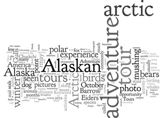 alaskan arctic adventure