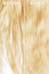 Blond hair before and after brushing. Haircare procedure concept