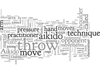Fototapeta premium aikido fundamentals