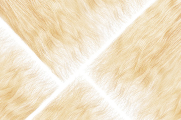 Damaged blond hair on white as background. Hair care - clipart