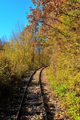 Fototapeta na wymiar a railway among the autumn trees