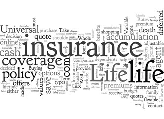 Fototapeta na wymiar Affordable Life Insurance