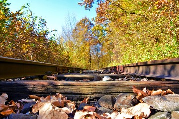 a railway through the forest