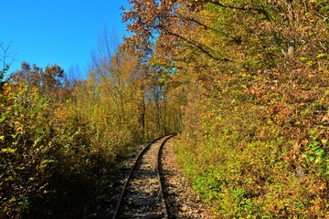 a railway among the autumn trees
