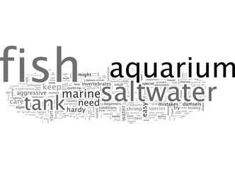 Obraz premium About Saltwater Aquarium Fish Beautiful