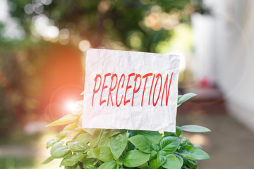 Conceptual hand writing showing Perception. Concept meaning individuals organize and interpret...