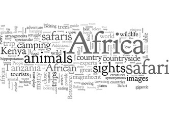 Fototapeta premium A Safari In Africa Provides Unforgettable Adventures