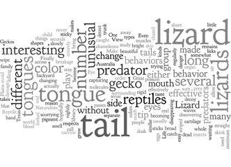 A Lizards Eye View of Life as a Reptile