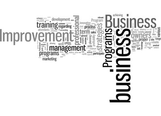 Important Features of Business Improvement Programs