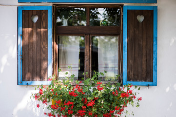 window with flowers