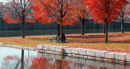 Montreal colorful park near the water