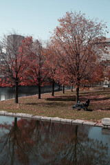 Montreal colorful park near the water