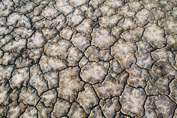dry cracked earth