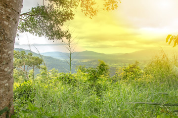 .Morning sun Shining from the tip of the tree