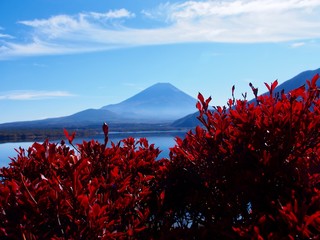 紅葉の時期の富士山