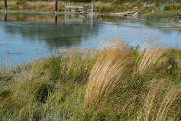 wetlands