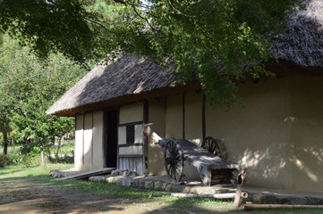 茅葺きの古民家（日本の昔の農村の家屋）がある風景