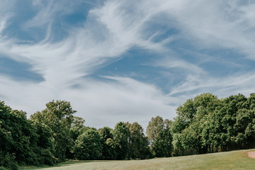 Landscape with Beautiful Sky
