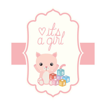 cute little cat in its a girl card