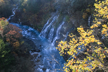 白髭の滝の秋紅葉