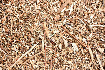 ウッドチップ